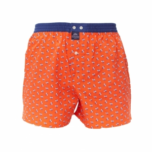 Mc Alson Orange